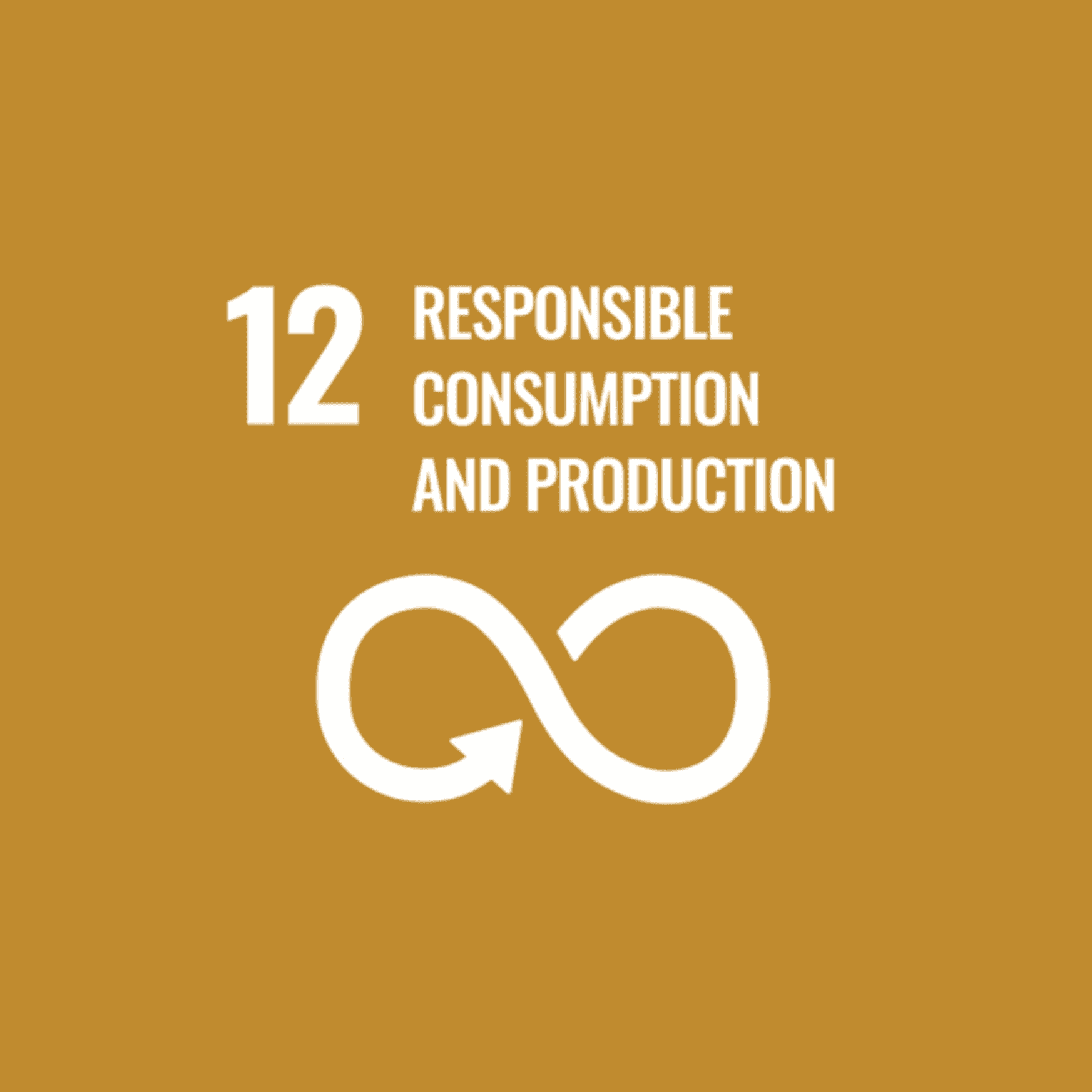 <p>Responsible Consumption</p> logo