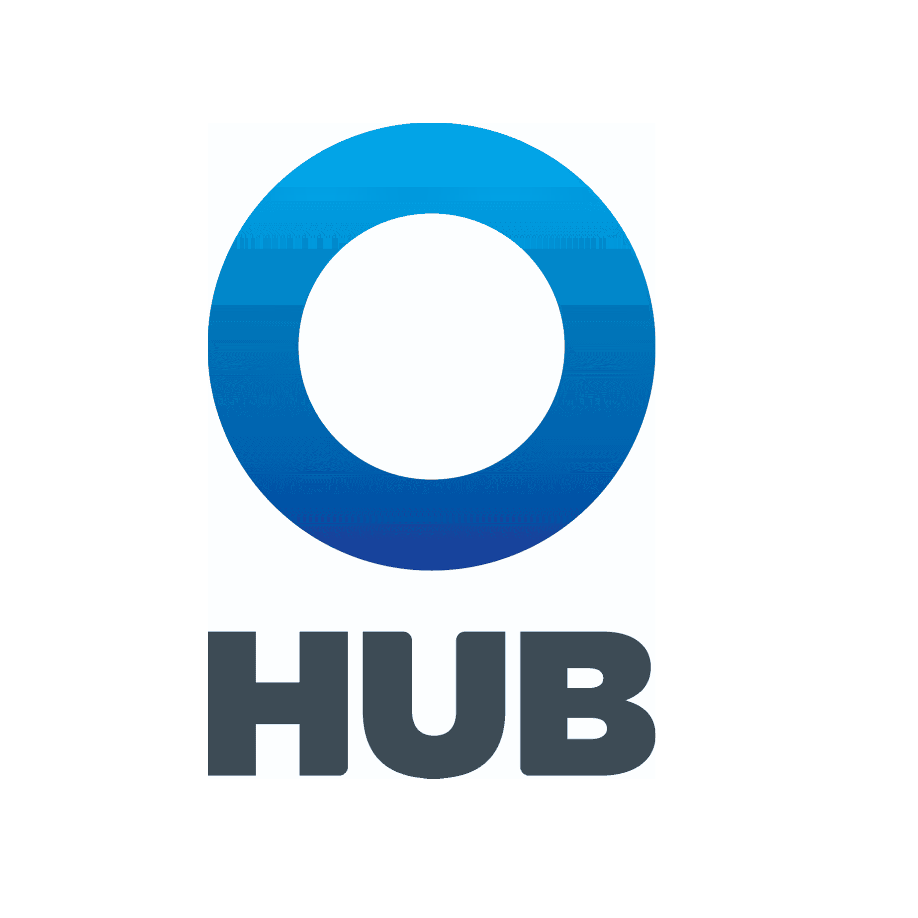 <p>HUB International</p> logo
