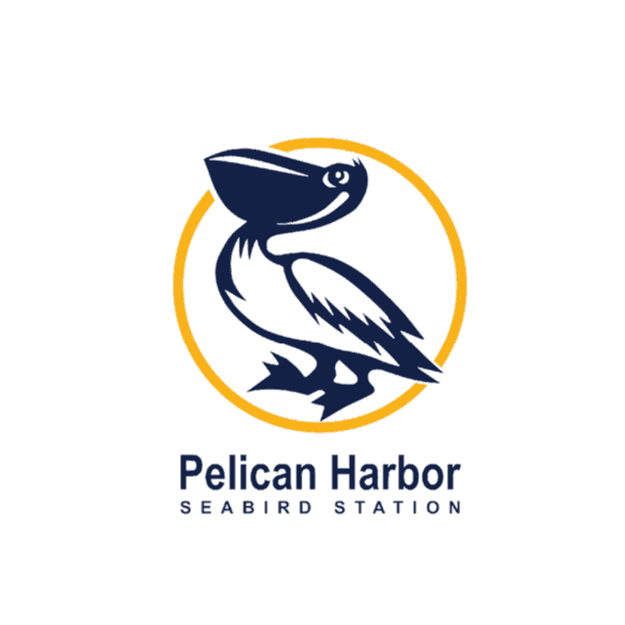 <p>Pelican Harbor Seabird Station</p> logo