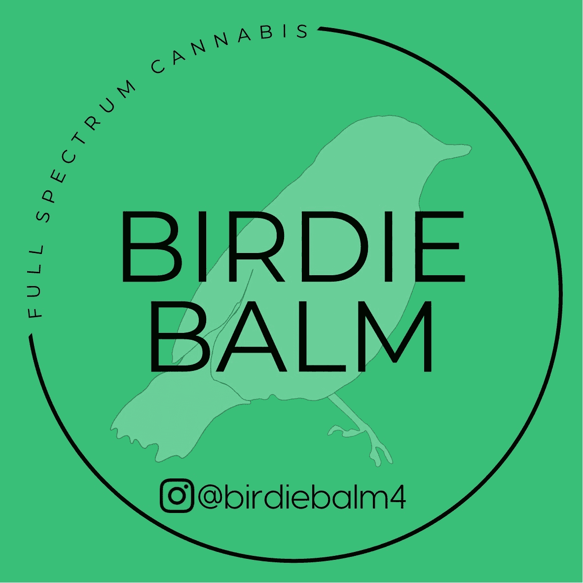 <p>Birdie Balm</p> logo