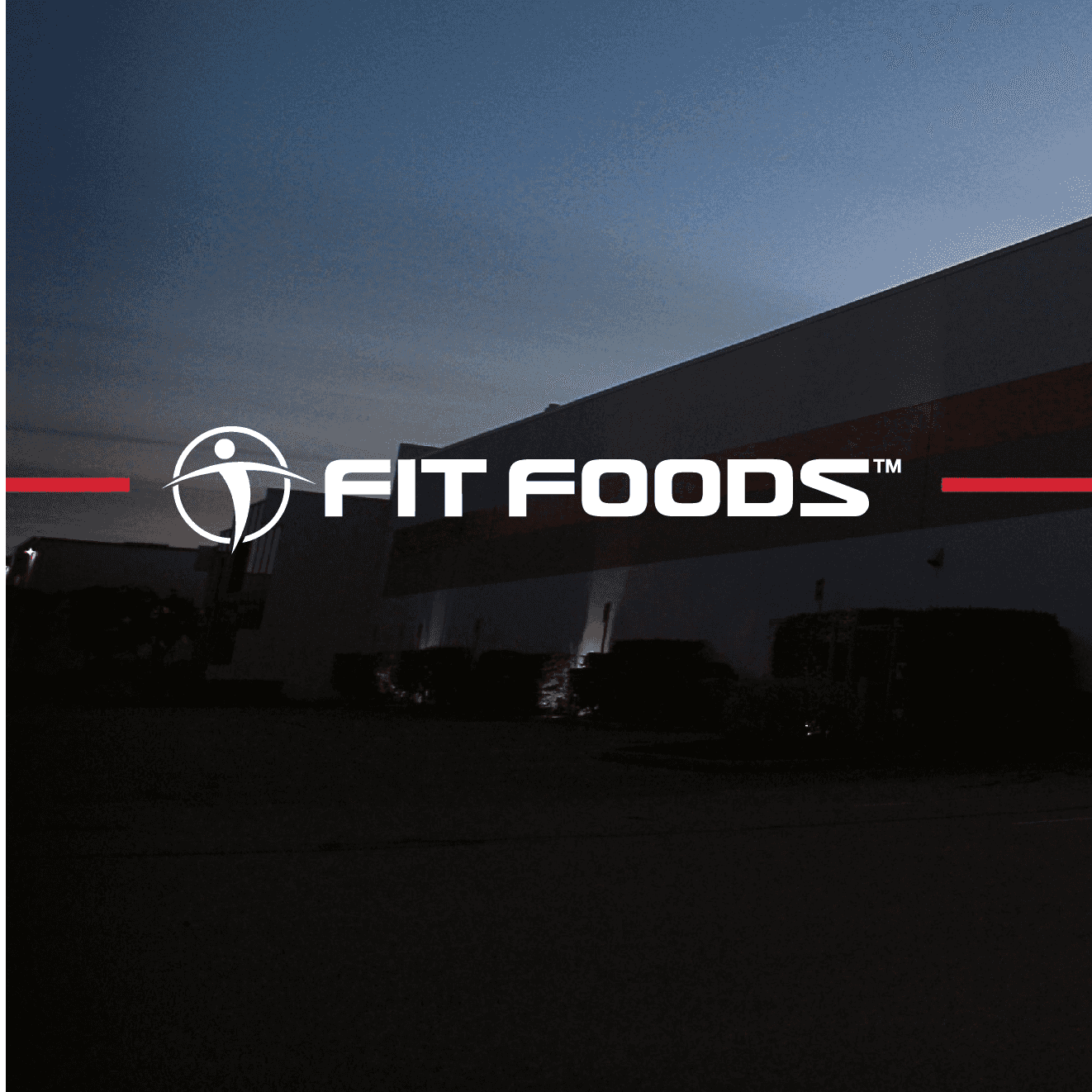 <p>Fit Foods </p> logo