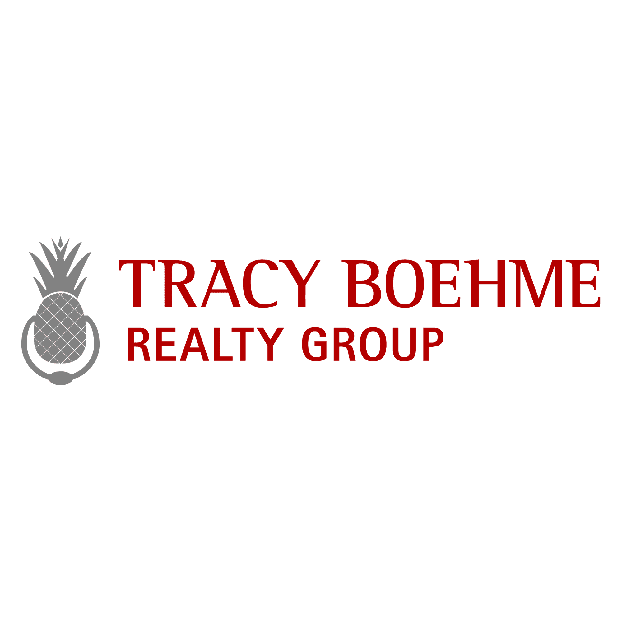 <p>Tracy Boehme </p><p>Realty Group</p> logo