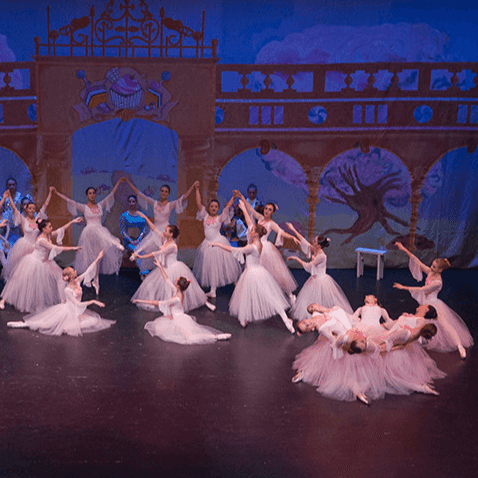 Image of <p>Hamilton City Ballet </p>