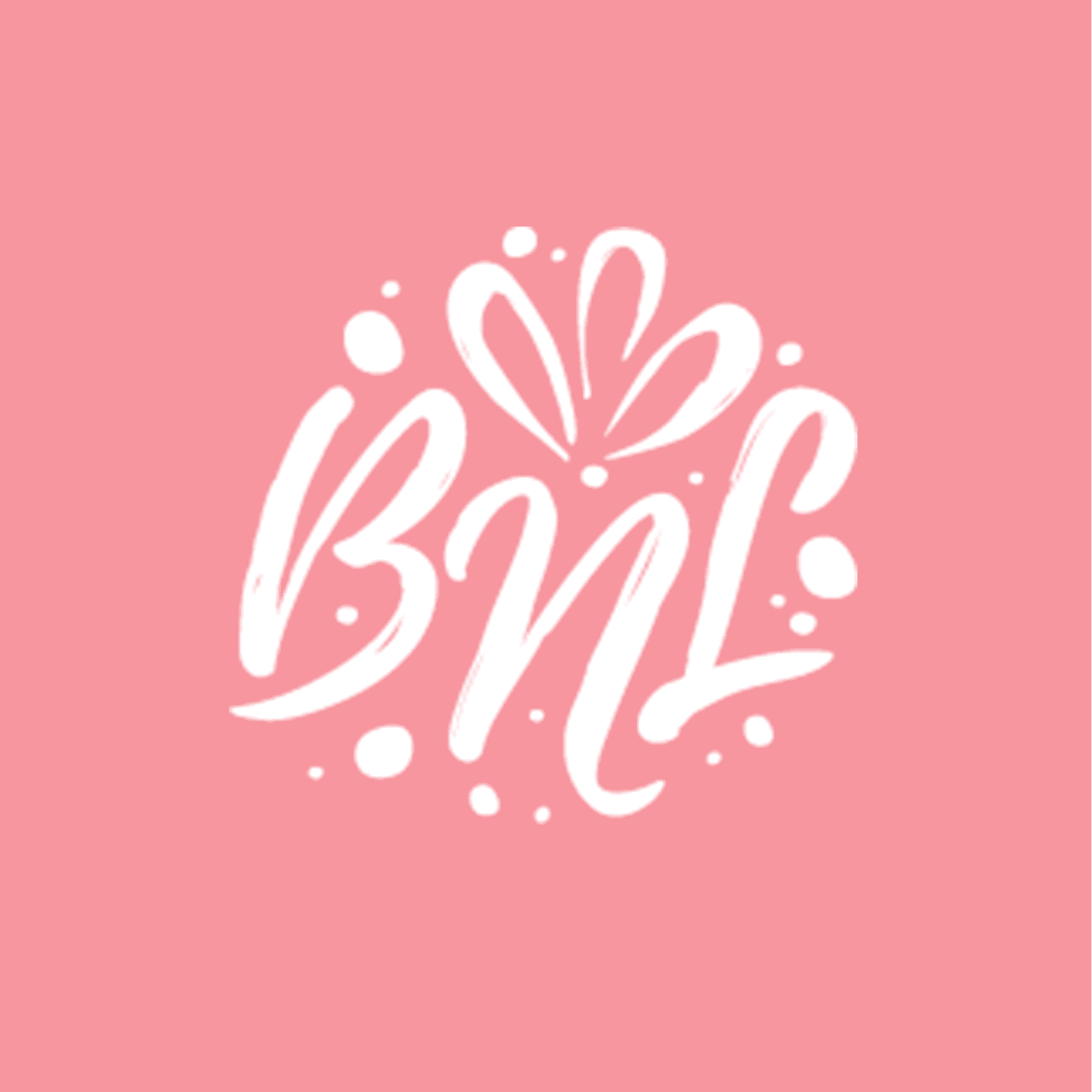 <p>BNL Media Consulting</p> logo
