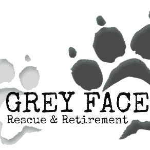 Image of <p>Grey Face Rescue</p>