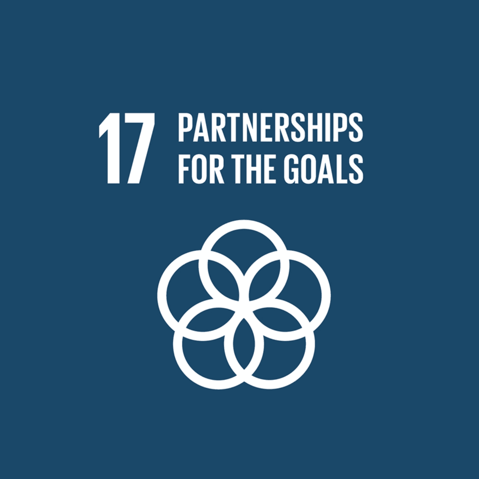 <p>Partnership for the Goals</p> logo