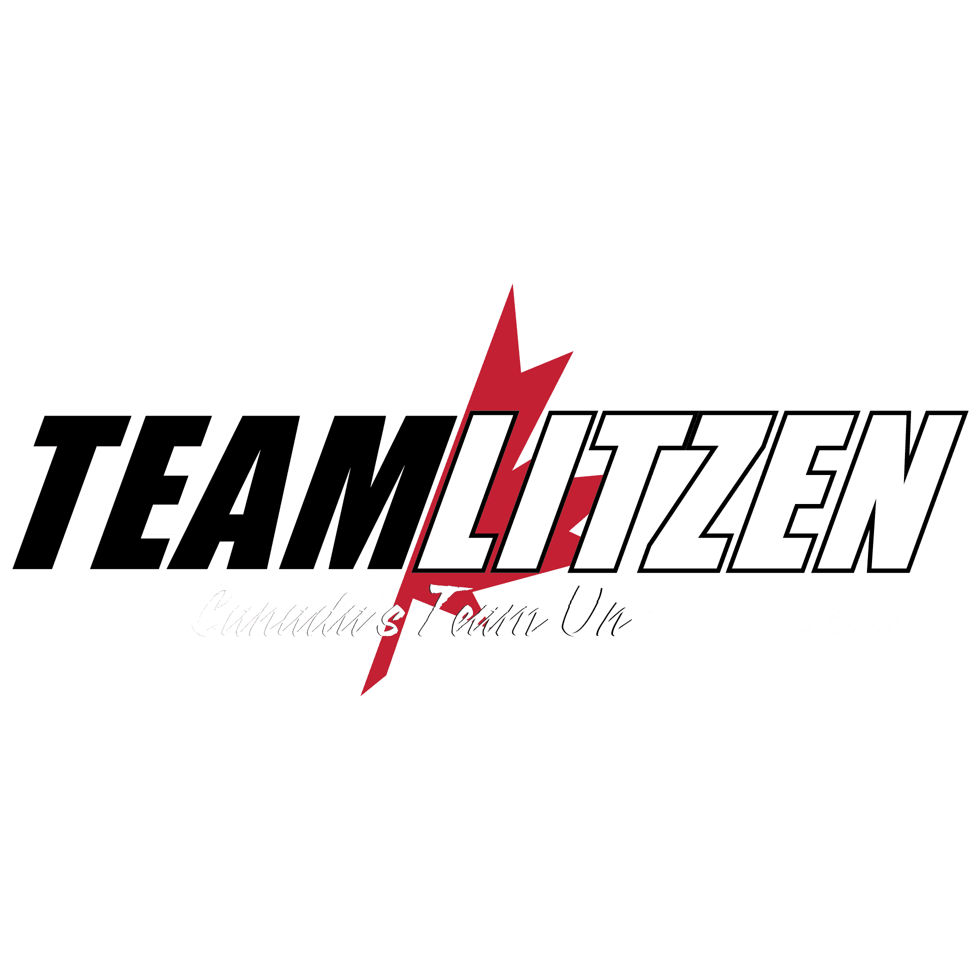 <p><span class="ql-size-small">Team Litzen Sports</span></p> logo