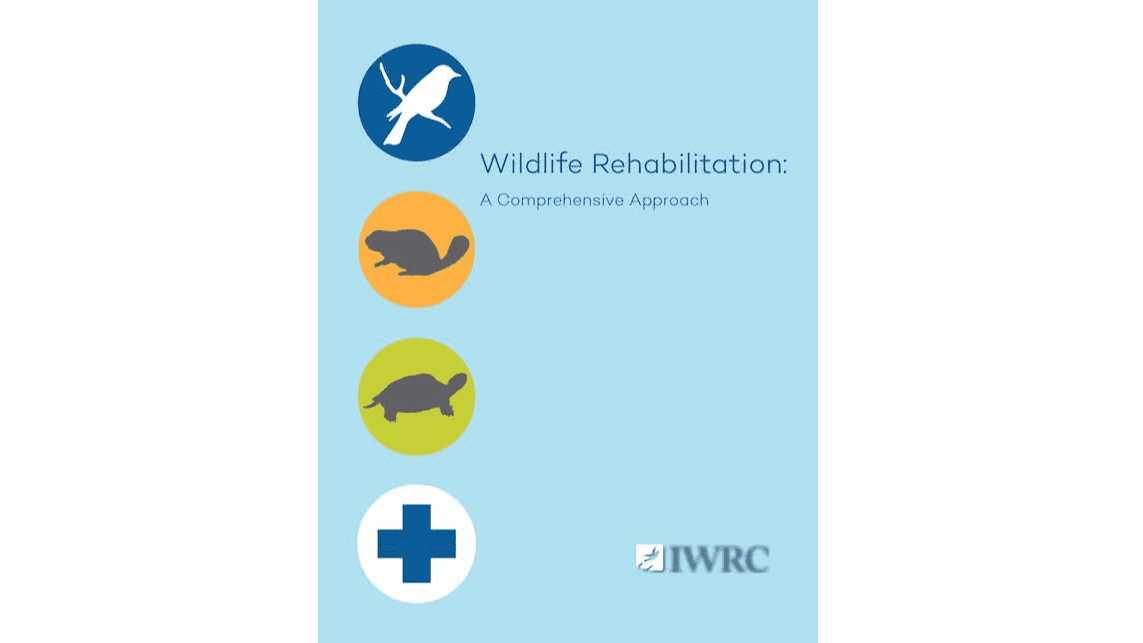 Wildlife Rehabilitation: A Comprehensive Approach 