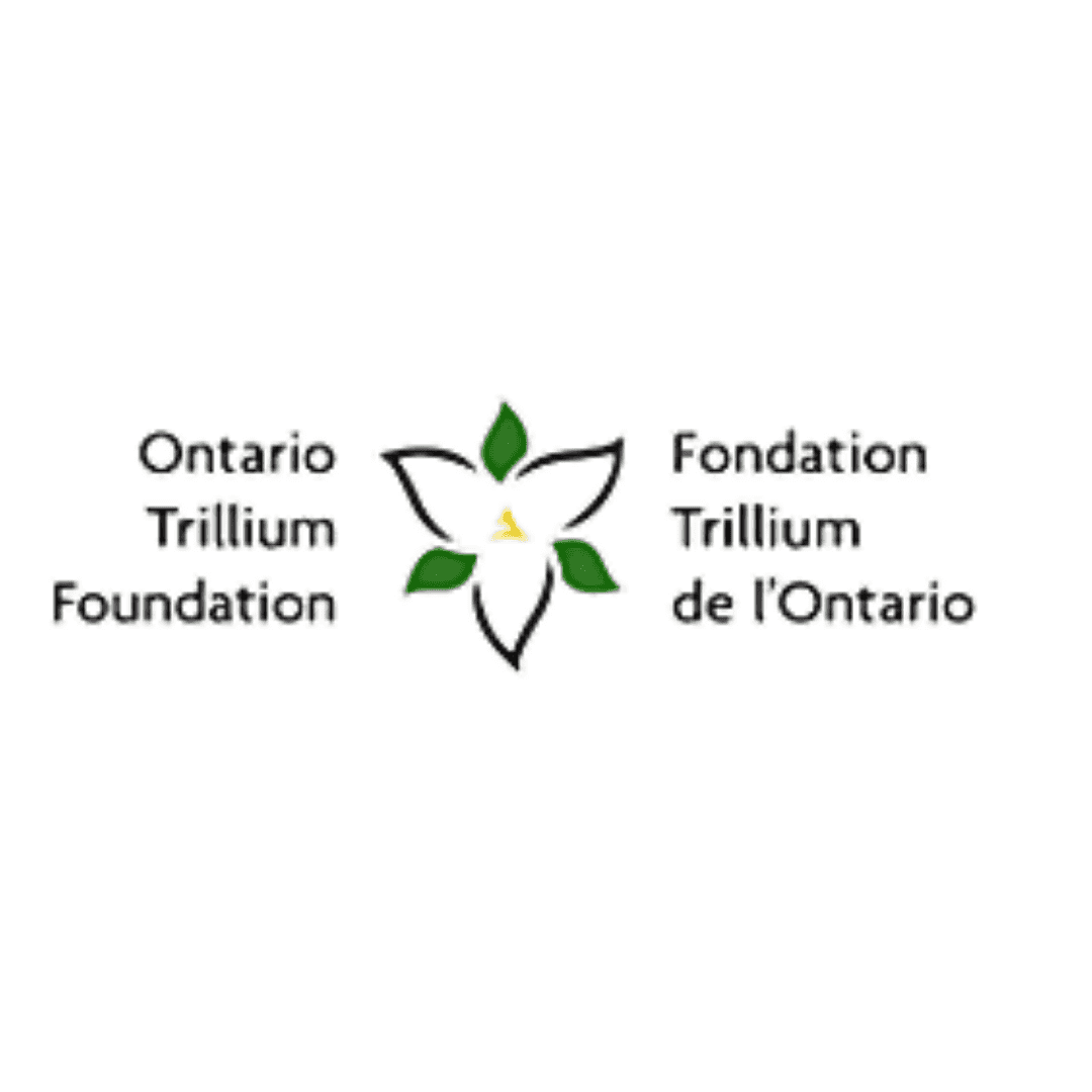 <p>Ontario Trillium Foundation</p> logo