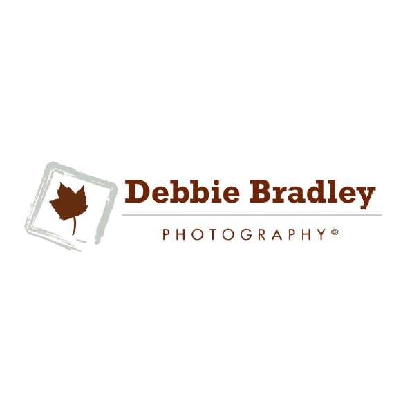 <p><span class="ql-size-small">Debbie Bradley</span> <span class="ql-size-small">Photography</span></p> logo