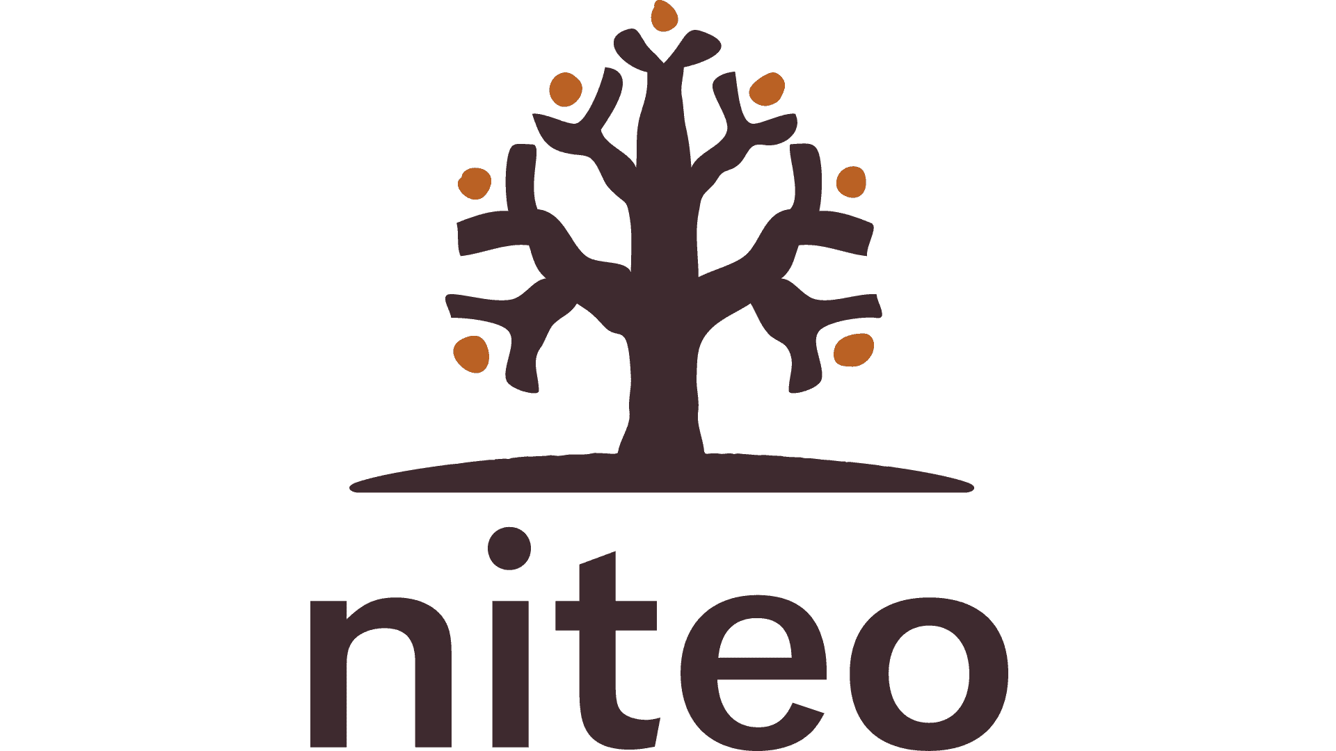 Niteo Africa Society logo