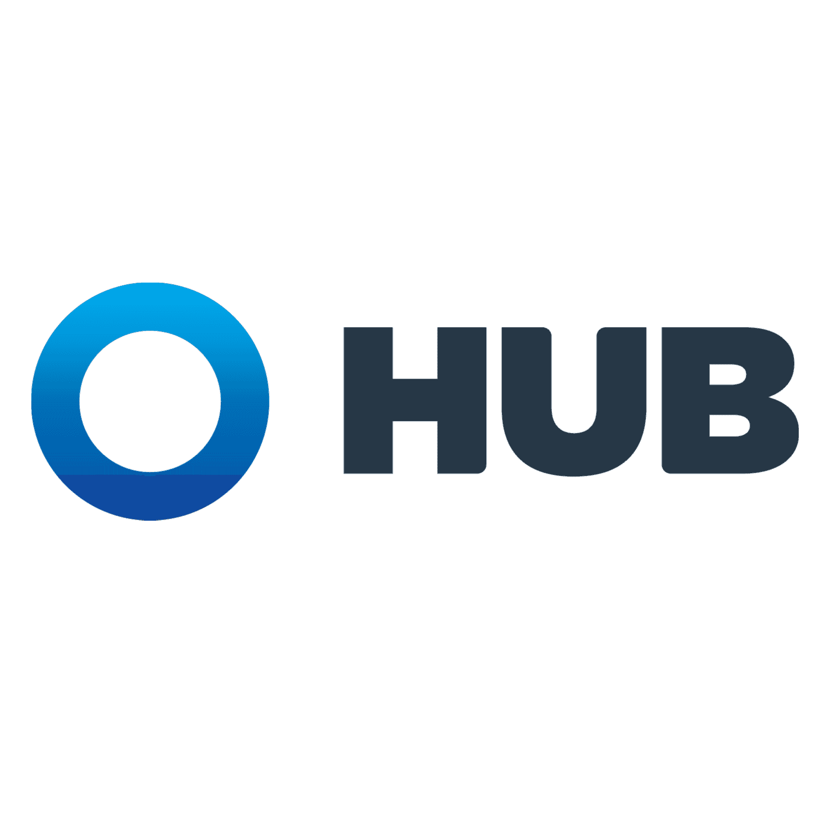 <p>Hub International</p> logo