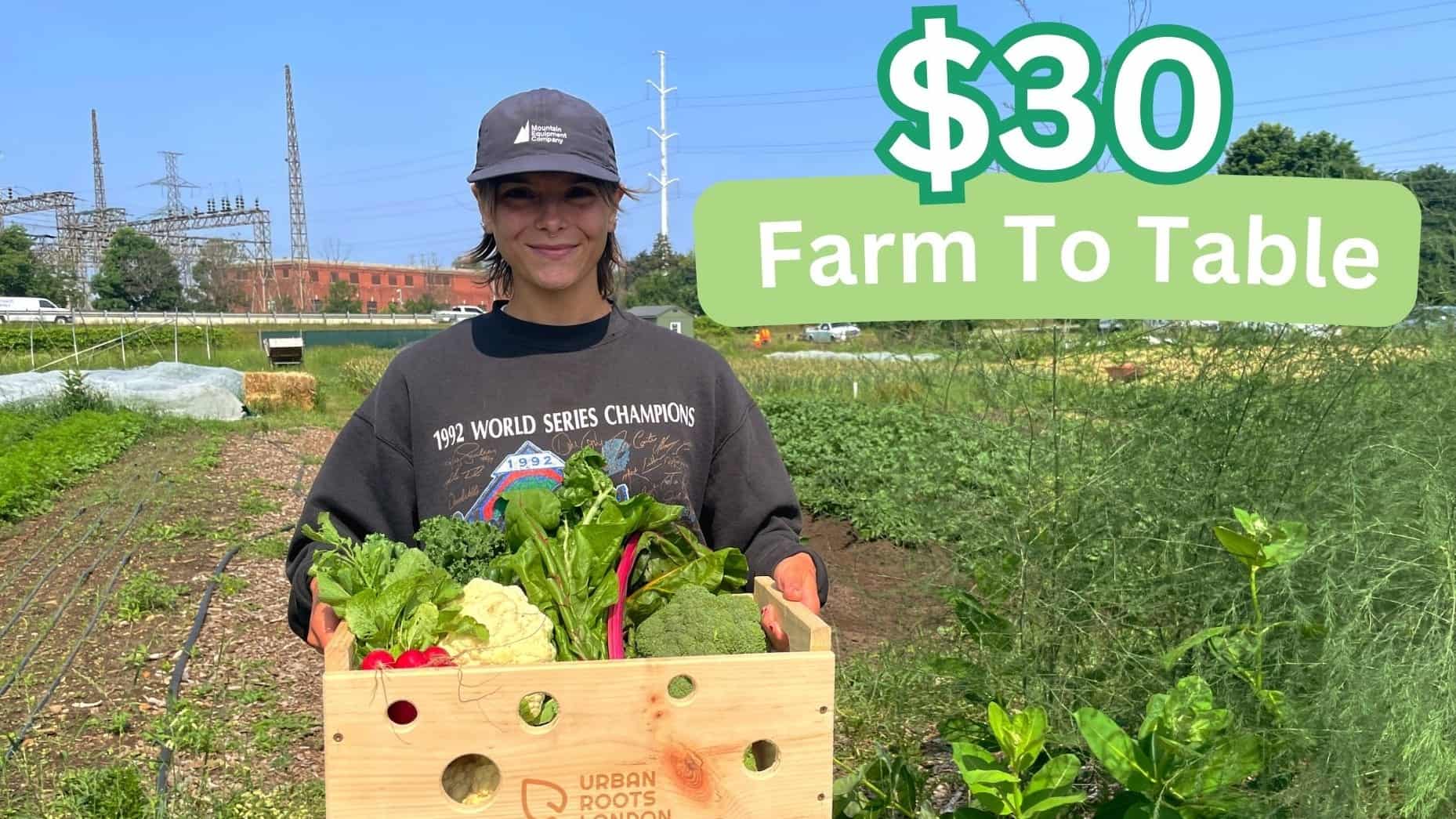Farm To Table supporting image.