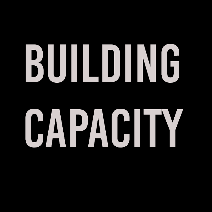 <p>Building Capacity</p> logo