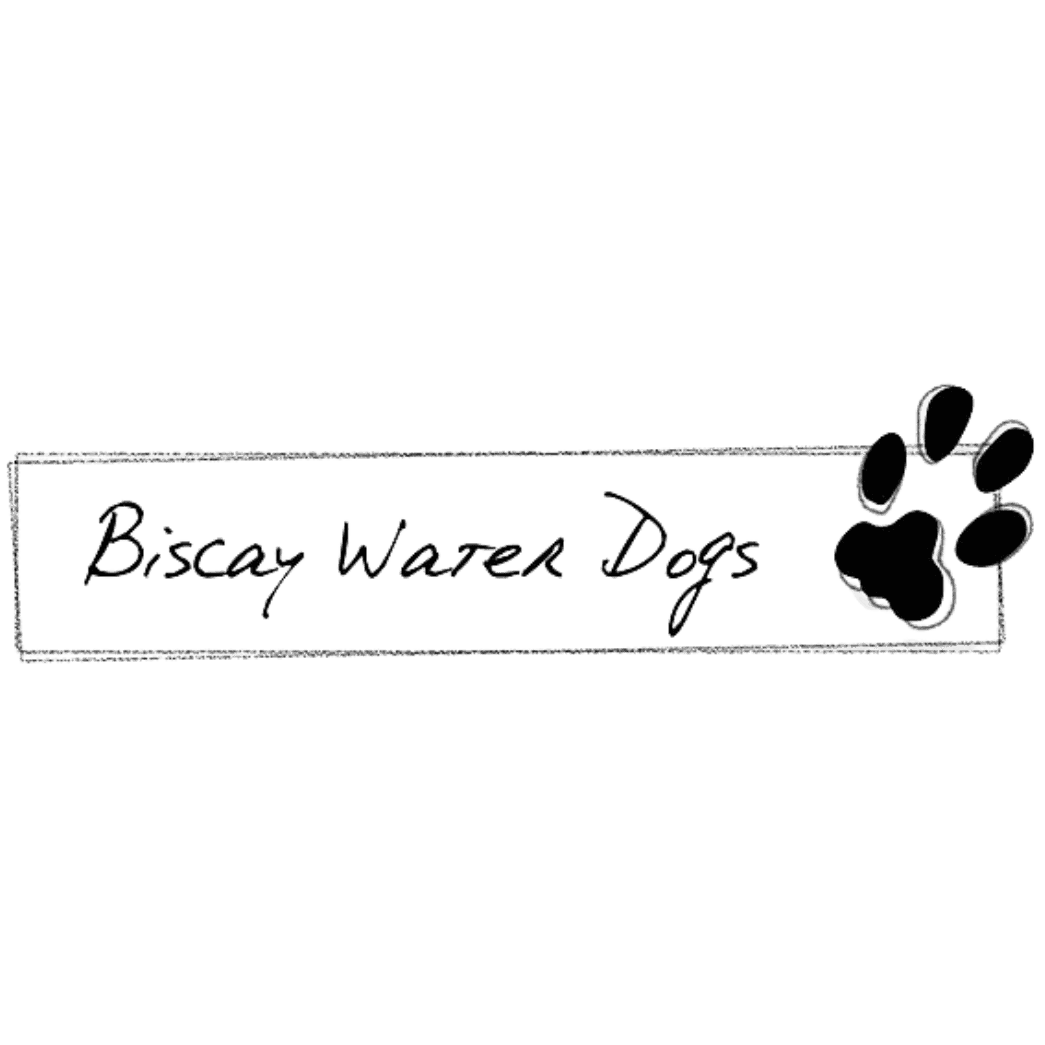 <p>Biscay Water Dogs</p> logo