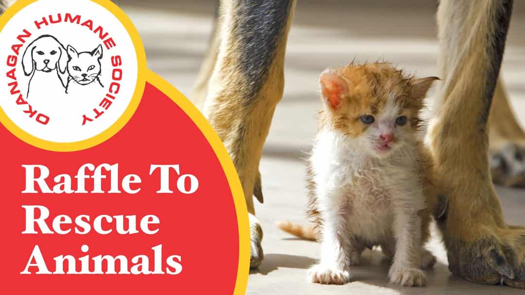 Raffle to Rescue Animals 2023