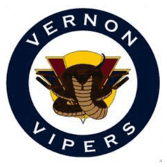 <p>Vernon Vipers</p> logo