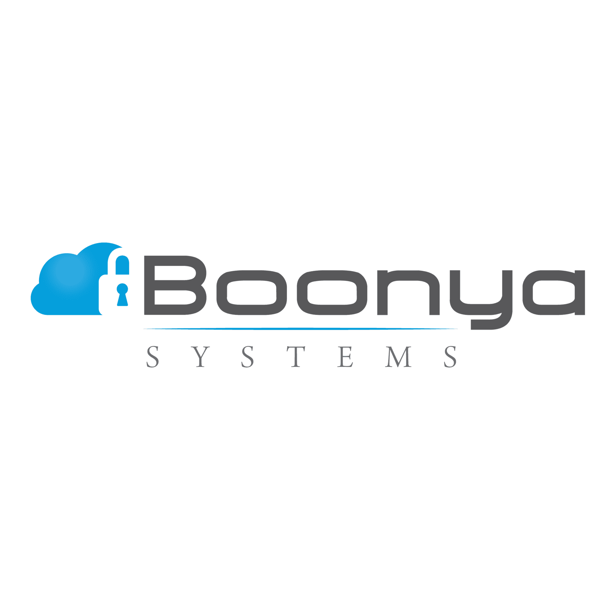 <p>Boonya Systems</p> logo