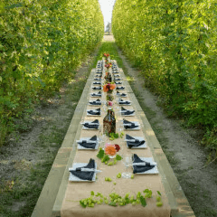 Image of <p><strong>Long Table Dinner for 12 w/ Chef Wes Levesque at the Barnside Hop Farm</strong></p>