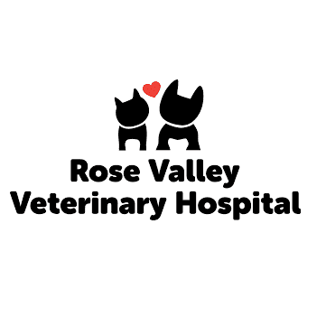 <p><span class="ql-font-roboto">Rose Valley Vet Hospital</span></p> logo