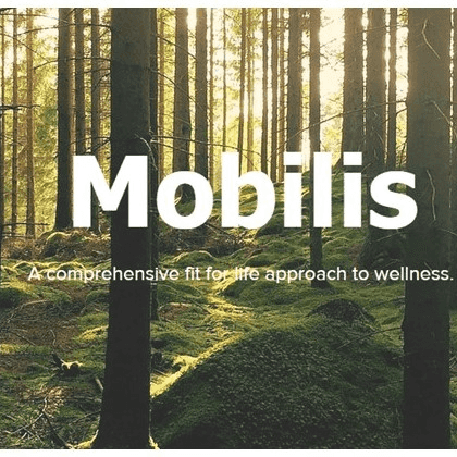 <p>Mobilis</p> logo