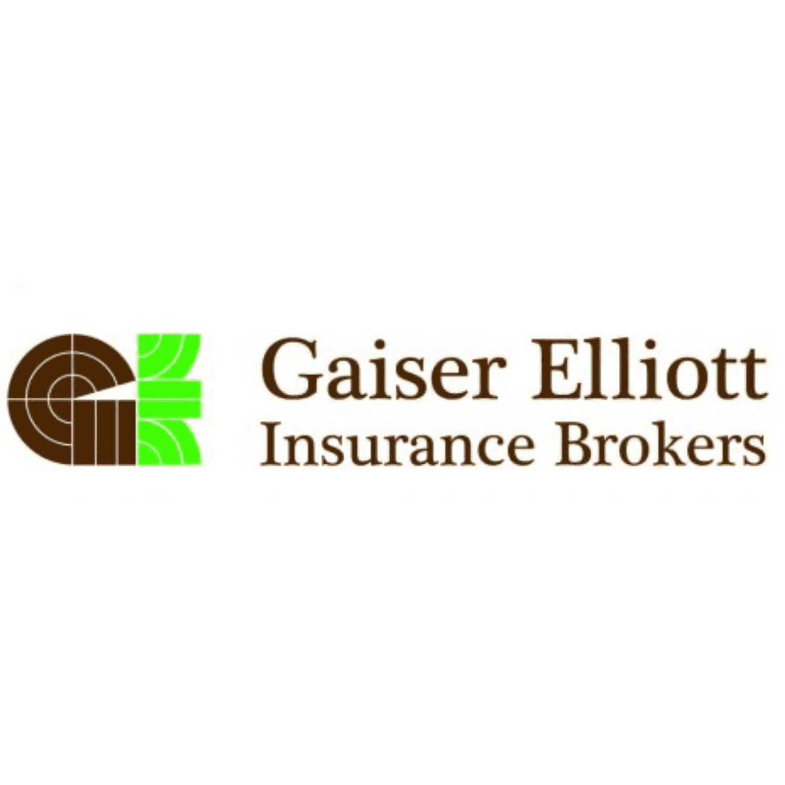 <p>Gaiser Elliott Insurance</p> logo